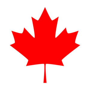 Maple leaf. Canada symbol maple leaf